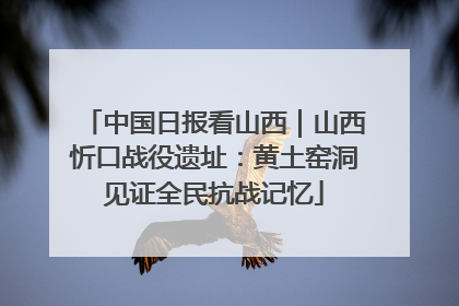 中国日报看山西｜山西忻口战役遗址：黄土窑洞见证全民抗战记忆